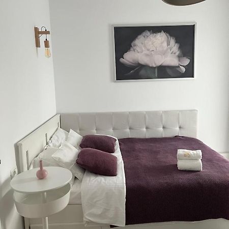 Alma Apartments Сучеава Екстериор снимка
