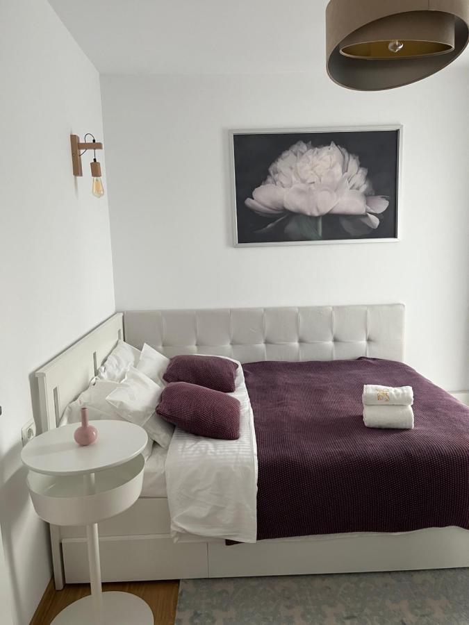 Alma Apartments Сучеава Екстериор снимка